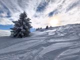 In powder snow near the summit