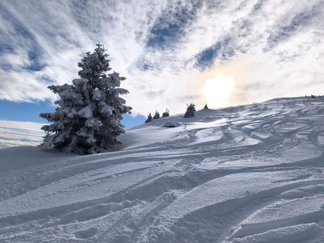 In powder snow near the summit
