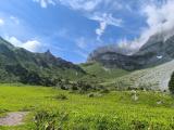 The path from the alpine meadow towards the ridge